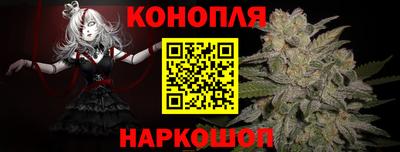 apvp Славгород