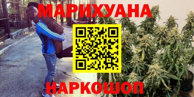 apvp Славгород