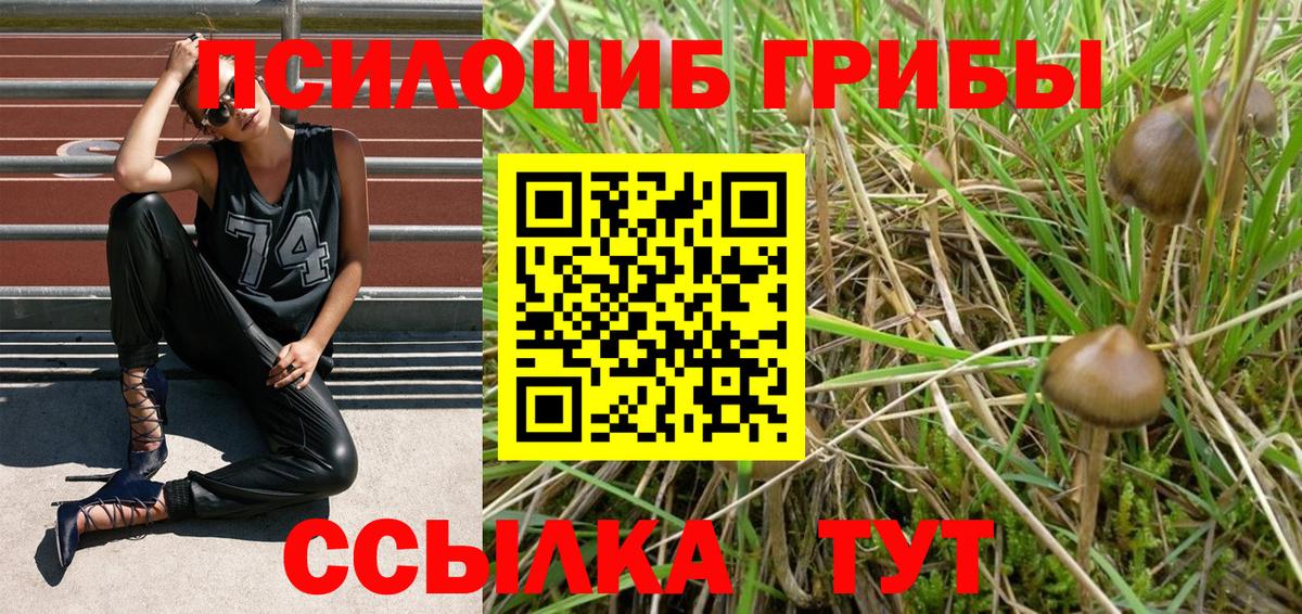 Псилоцибиновые грибы прущие грибы Партизанск